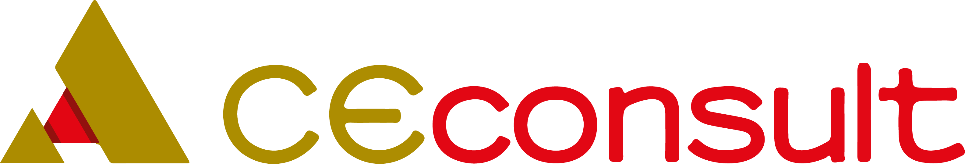 CE Consult Logo